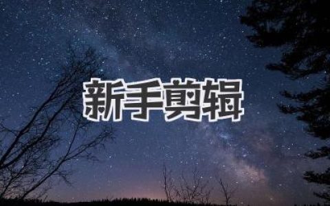 新手剪辑 从零入门到独立完成视频的完整踩坑实录与实战指南