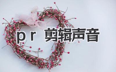 pr剪辑声音