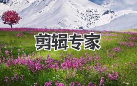 剪辑专家实战手册：从零变高手的剪辑专家成长心法与避坑指南