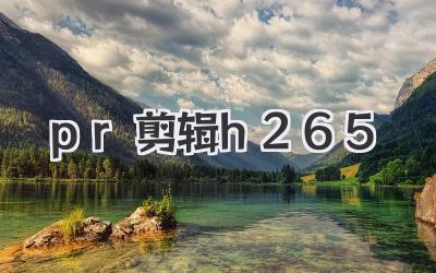 pr剪辑h265