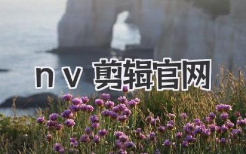 nv剪辑官网实用体验与上手心法：新手到进阶的完整指路