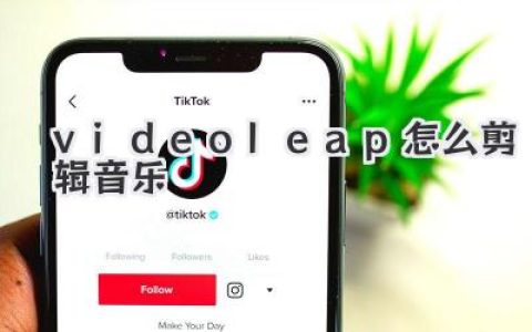 videoleap怎么剪辑音乐？新手也能快速上手的完整实战指南