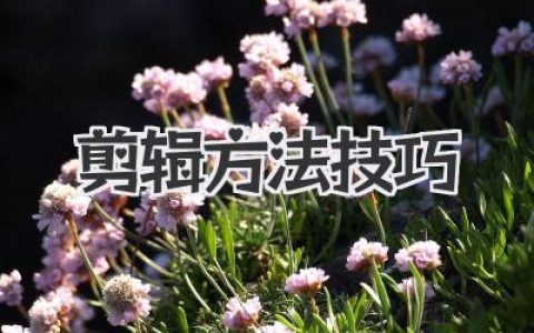 剪辑方法技巧全攻略：从小白到进阶创作者的实战经验分享