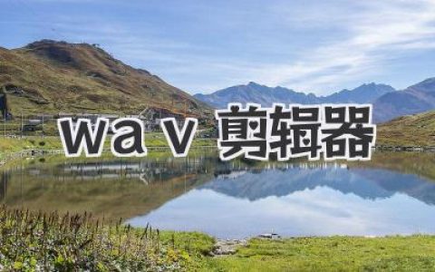 wav剪辑器实战指南：用wav剪辑器精准切音、降噪与混音的完整经验分享