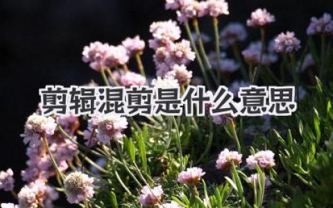 剪辑混剪是什么意思？从新手到进阶全面解析剪辑混剪是什么意思的实战技巧