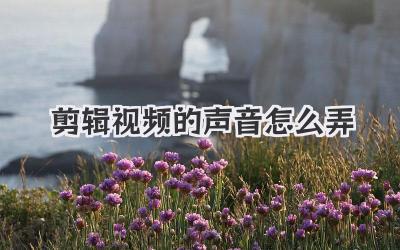 剪辑视频的声音怎么弄