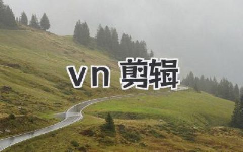 ⅴn剪辑新手到进阶完整指南：用ⅴn剪辑打造高质短视频的实战经验分享