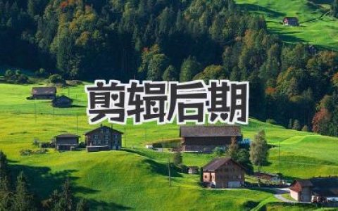 剪辑 后期实战心法全攻略：从素材到成片细节与坑