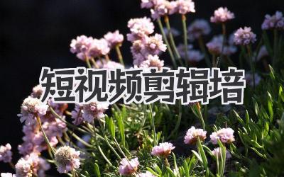 短视频剪辑培