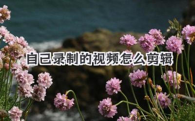 自己录制的视频怎么剪辑