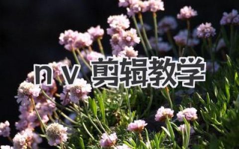 NV剪辑教学：从零基础到大神，这套实操私藏攻略助你轻松玩转视频创作