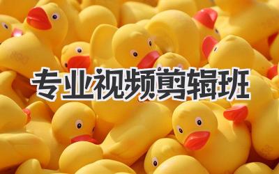 专业视频剪辑班