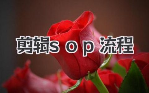 深度解构高效出片法：一套让创意不打折的剪辑sop流程避坑指南