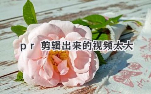 PR剪辑出来的视频太大怎么办？超全导出参数优化全攻略