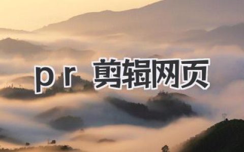 pr剪辑网页