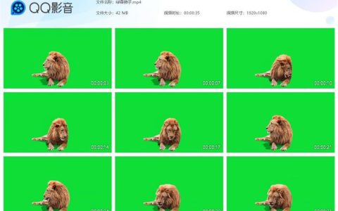 抖音高清狮子绿幕抠像视频素材