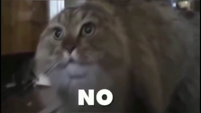 猫说NO表情包视频