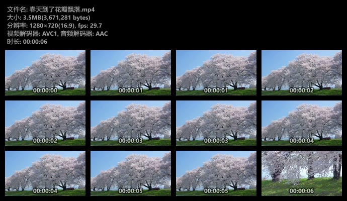 花瓣飘落的视频素材