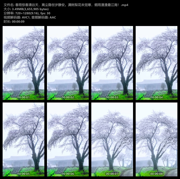 雨后绝美风景竖屏短视频素材