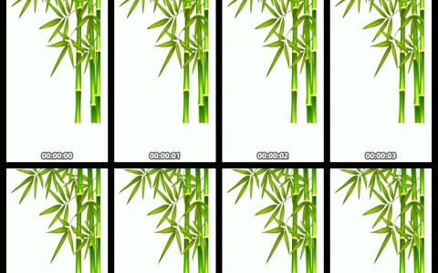 竹子抠像视频素材