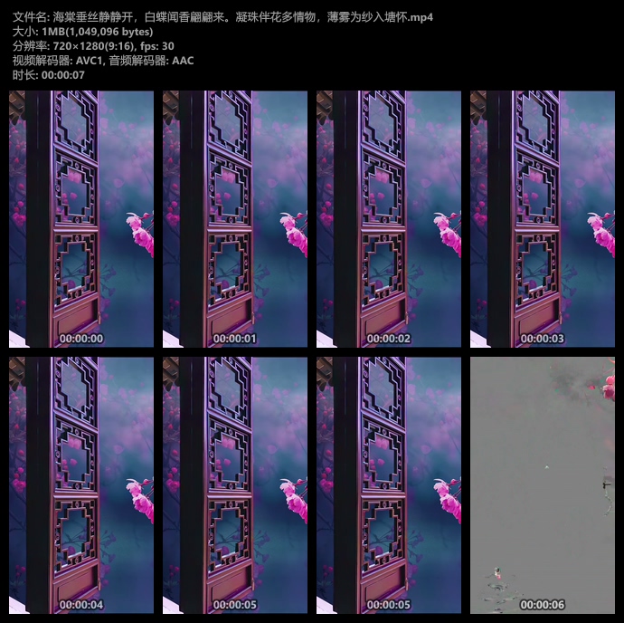 古风推开窗看海棠花开竖屏视频素材