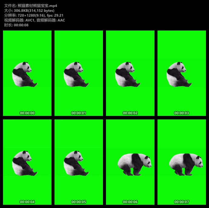 大熊猫绿幕视频素材
