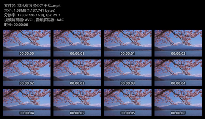 富士山樱花实拍风景视频素材