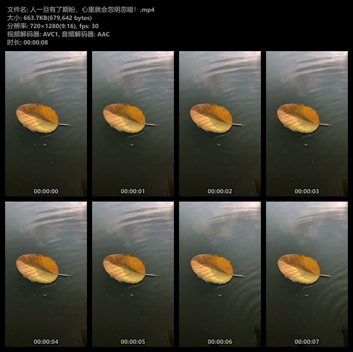 一片树叶慢镜头竖屏视频素材