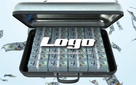 金钱货币背景LOGO标志PR模板