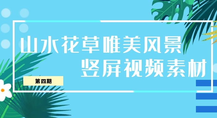山水花草唯美风景竖屏实拍短视频素材（4）