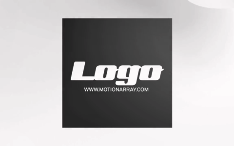 简单黑白LOGO标志PR模板素材
