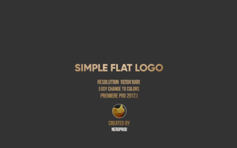 简单的平面LOGO标志文字标题PR模板素材