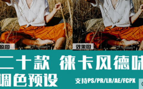 LR预设PS复古人像胶片PR/FCPX/达芬奇/AE/LUT调色PS滤镜
