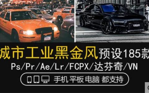 LR预设LUT工业风城市黑金街拍夜景人像PR/FCPX