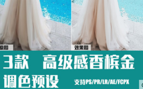 LR预设PS金色ins香槟金旅拍时尚FCPX达芬奇手机APP滤镜PR调色LUT