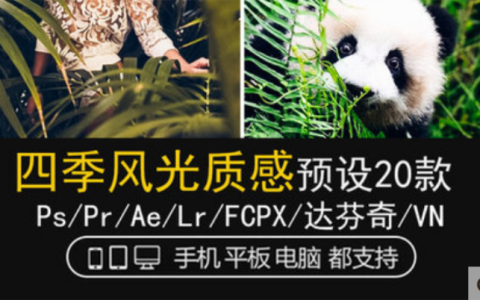 LR预设ins风光人像动物旅拍PS达芬奇FCPX手机版APP滤镜PR调色LUT