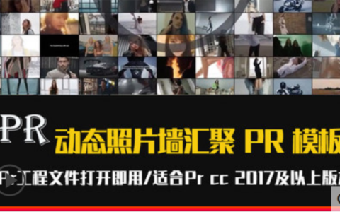 Pr模板Logo照片墙汇聚logo素材模板