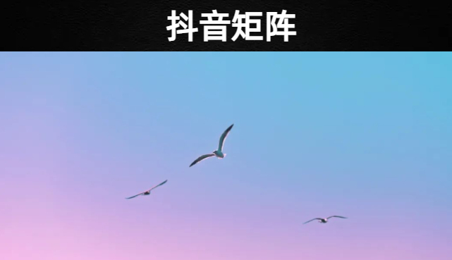 教你如何利用抖音矩阵快速运营账号