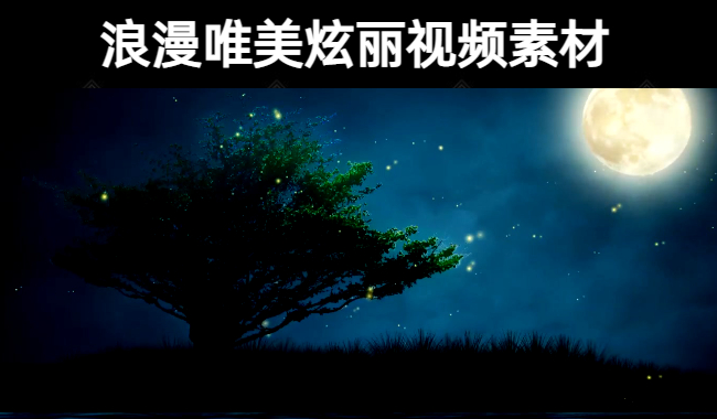 32款浪漫唯美炫丽小视频素材
