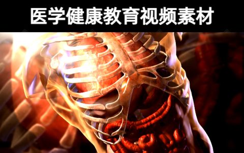 20款关于医学健康教育视频素材