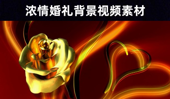 【玫瑰戒指】婚庆彩色气球爱心涂鸦背景视频素材