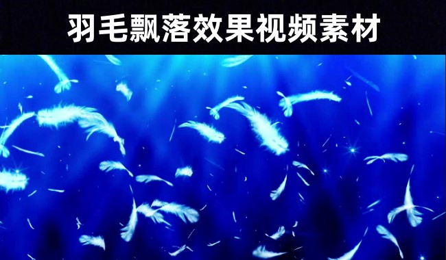 29款唯美眩光羽毛飘落浪漫无水印背景视频素材