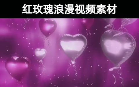 17款精选红玫瑰花情人节婚礼浪漫背景视频素材合集