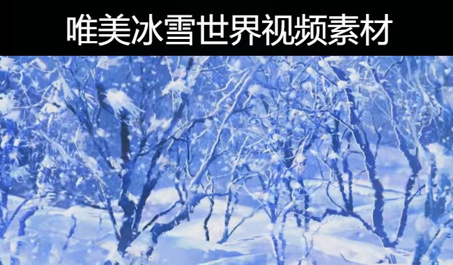40款唯美冰雪世界雪景雪花飘雪风景粒子视频背景素材