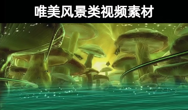 17款精选唯美治愈系自然风景类视频素材合集
