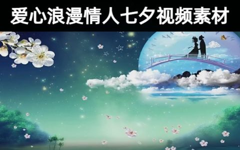 93款唯美鹊桥表白粉红爱心浪漫情人七夕背景视频素材