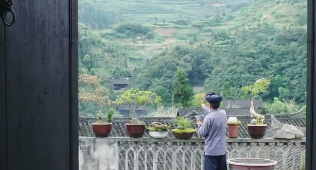 45款-中医药养生超清视频素材下载