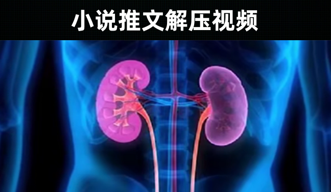 131款-小说推文解压视频素材