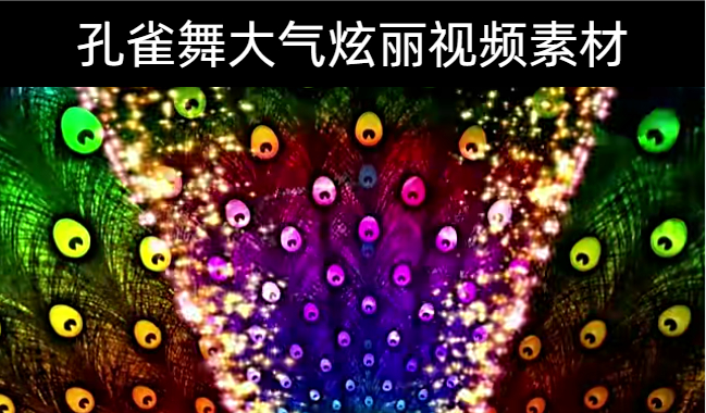 15款-孔雀舞大气炫丽视频素材下载