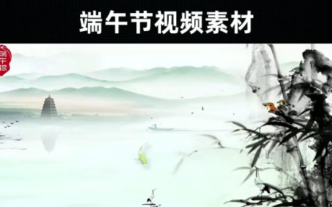 55款-关于端午节视频素材